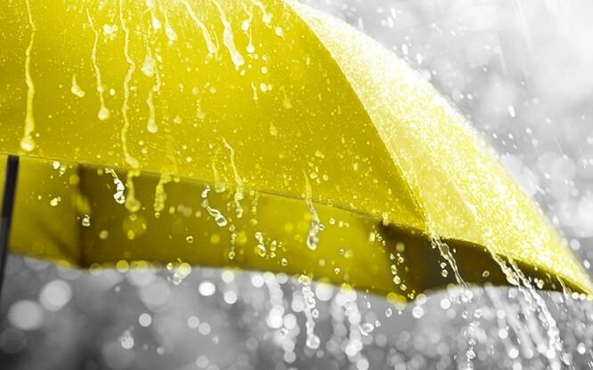 Regenschirm